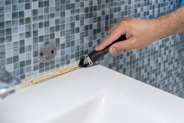 Best White Mold Remediation in East Palo Alto, CA